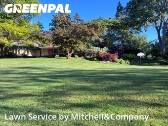 Lawn Mowing nearby Bloomfield Township, MI, 