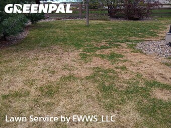 Lawn Maintenance nearby Colorado Springs, CO, 