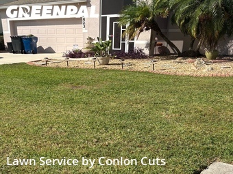 Lawn Mow nearby Ellenton, FL, 