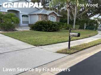 Lawn Cutting nearby Trinity, FL, 