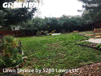 Lawn Care Service nearby Fort Collins, CO, 