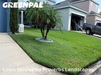 Grass Cutting nearby Winter Garden, FL, 