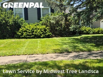 Lawn Mowing Service nearby Matteson, IL, 