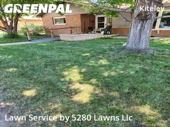 Yard Cutting nearby Longmont, CO, 