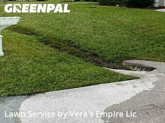 Lawn Cut nearby Palm Coast, FL, 