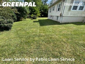 Grass Cutting nearby Arlington, VA, 