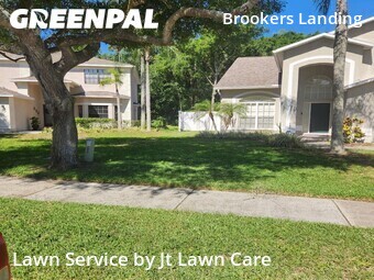 Lawn Care nearby Palm Harbor, FL, 
