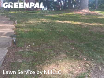 Backyard Mowing in Norton Shores, 49441, Yard Care Services by NIIILLC, work completed in Nov , 2025