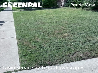 Lawn Mow nearby Frisco, TX, 