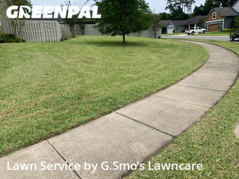 Grass Cut nearby Gainesville, FL, 