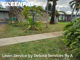 Grass Cutin Sunrise,33322,Grass Cutting by Deluxe Services By A, work completed in Feb , 2026