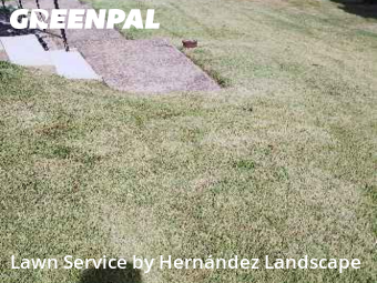 Lawn Mowing nearby Springfield Township, PA, 