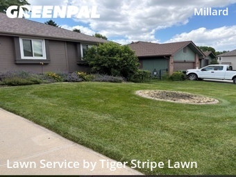 Yard Cutting nearby Omaha, NE, 