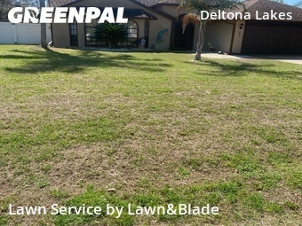 Yard Cutting nearby Deltona, FL, 