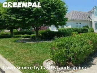 Lawn Mow nearby Orland Park, IL, 