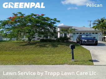 Yard Mowing nearby Cape Coral, FL, 