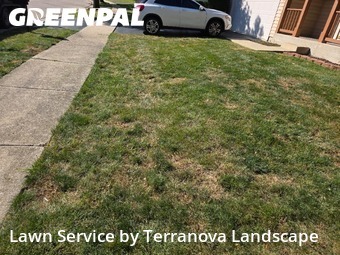 Yard Upkeep in Plainfield, 60544, Lawn Care by Terranova Landscape, work completed in Oct , 2025