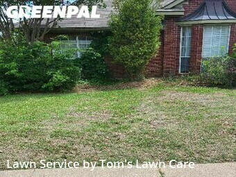 Lawn Maintenance nearby Garland, TX, 