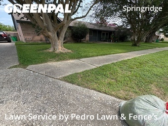 Lawn Cut nearby Spring, TX, 
