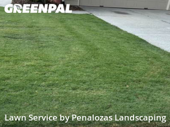 Lawn Mowing nearby Lawrenceville, GA, 