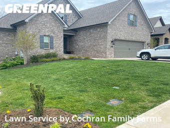 Lawn Cutting nearby Tennessee, TN, 
