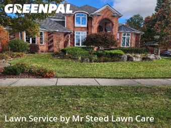 Lawn Services in Farmington Hills, 48335, Lawn Cutting by Mr Steed Lawn Care, work completed in Nov , 2025