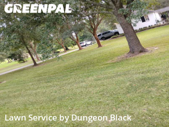 Yard Mowing nearby Prairieville, LA, 
