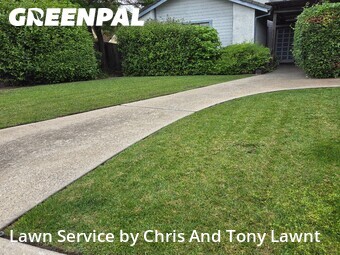 Yard Mowing nearby Lodi, CA, 