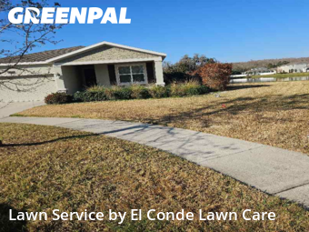 Grass Cut nearby Kissimmee, FL, 