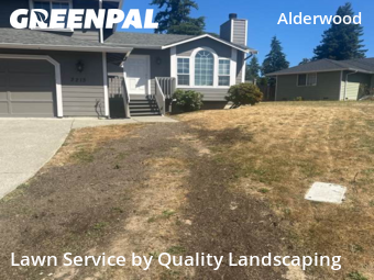 Lawn Mowing in Lynnwood, 98036, Front Yard Mowing by Quality Landscaping, work completed in Nov , 2025