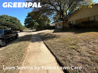 Grass Cut nearby Irving, TX, 