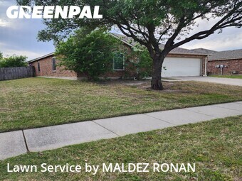 Lawn Care nearby Wylie, TX, 
