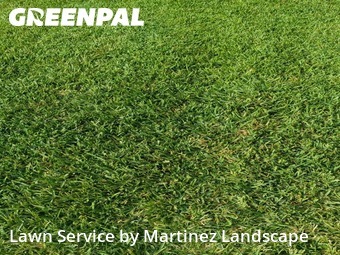 Lawn mowed in Lady Lake, 32159