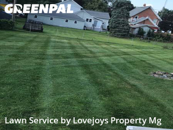 Lawn Care Service nearby Canton, MI, 
