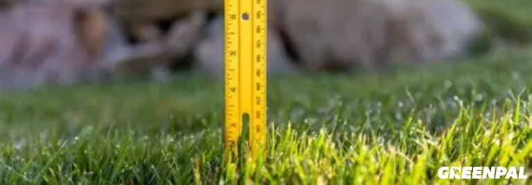 Best Mowing Height for the Final Cut Before Frost: What Lawn Pros Recommend