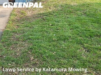 Grass Cutting nearby Odessa, MO, 