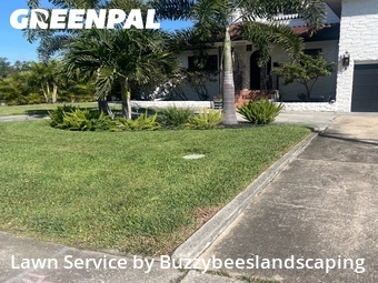 Lawn Mow nearby Saint Petersburg, FL, 