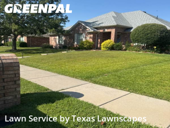 Lawn Mowin Wylie,75098,Yard Cutting by Texas Lawnscapes, work completed in Feb , 2026
