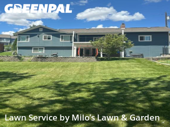 Yard Care in Kennewick, 99337, Front Yard Mowing by Milo’s Lawn & Garden, work completed in Nov , 2025