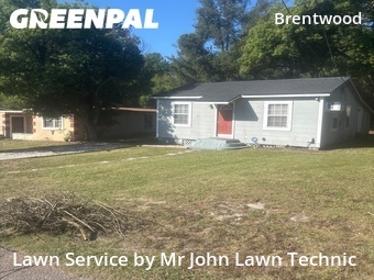 Grass Cut nearby Jacksonville, FL, 