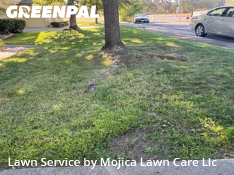 Work completed by affordable-grass-cutting-businesses-in-Rocklin-CA
