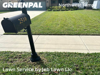 Yard Mowing nearby Tampa, FL, 