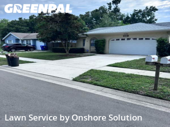 Yard Mowing nearby Palm Harbor, FL, 