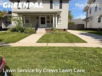 Lawn Mow nearby Toledo, OH, 
