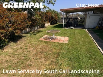 Grass Cut nearby San Diego, CA, 