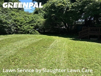 Lawn Maintenance nearby Oak Ridge, TN, 
