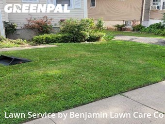 Yard Cutting nearby Roselle, NJ, 