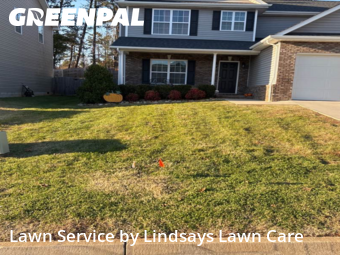Grass Care in Knoxville, 37920, Lawn Maintenance by Lindsays Lawn Care, work completed in Nov , 2025