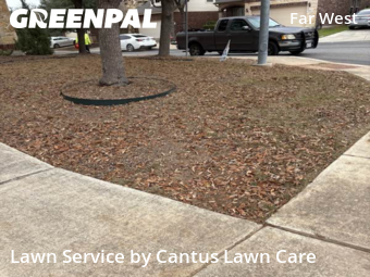 Landscape Design In San Antonio,78254,Landscaping Renovation by Cantus Lawn Care, work completed in Dec , 2025