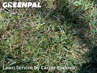 Lawn Mowing Service nearby Lee's Summit, MO, 